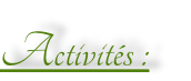 Activités :